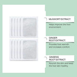 Golden Detox Foot Pads (Pack of 2) (20 Pieces)